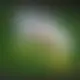 Zagraj Let It Ride z Playtech w {"id":43,"name":"Cadoola","design":{"logo":"cadoola-logo.8Fx5ea.svg","favicon":"cadoola-favicon.U0Dt6G.png","banner_poker":"cadoola-poker.rJFnb0.webp","banner_mobile":"cadoola-mobile.1Td6FH.webp","block_bg_color":"#5781DF","image_bg_color":"#3A6CD4","banner_bg_color":"#5781DF","block_text_color":"#27272a","primary_bg_color":"#EEEEEE","banner_text_color":"#fff","footer_logos_type":"black","block_round_radius":"0.25rem","primary_text_color":"#172554","button_round_radius":"0.25rem","banner_welcome_bonus":"cadoola-welcome-bonus.4I44YZ.webp","primary_button_bg_color":"#FA9660","primary_button_text_color":"#fff","secondary_button_bg_color":"#FFBB94","secondary_button_text_color":"#fff"},"created_at":"2025-05-14T09:25:22.000000Z","updated_at":"2025-05-14T09:25:22.000000Z","deleted_at":null}